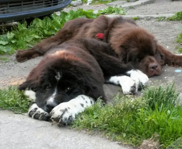 Фотография № 201563