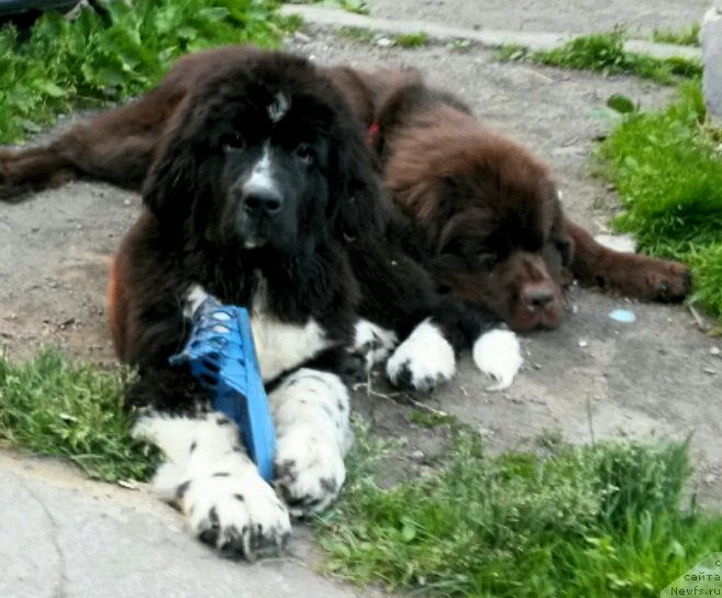 Фотография № 201565