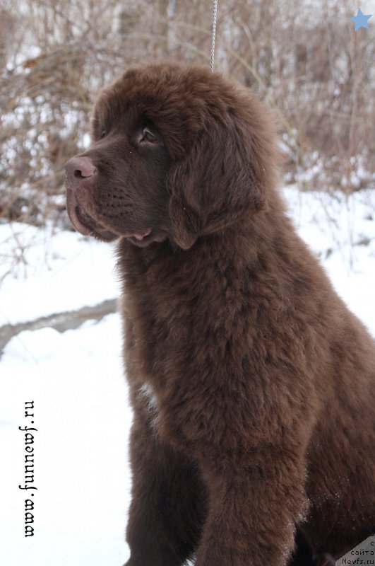 Фотография № 201577