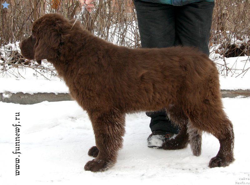 Фотография № 201578