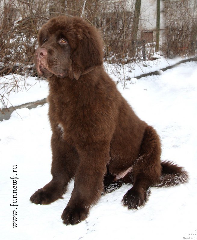 Фотография № 201579