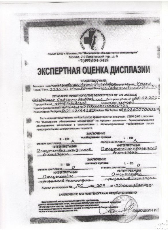 Фотография № 201594