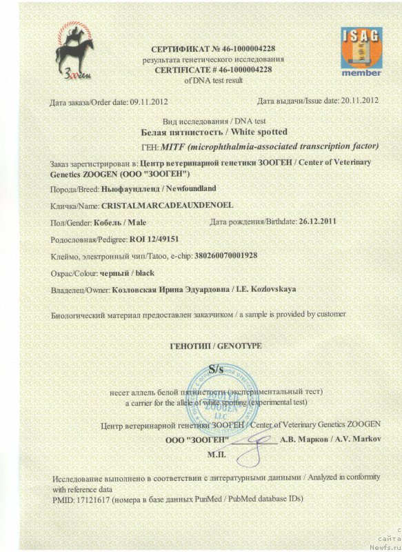 Фотография № 201595