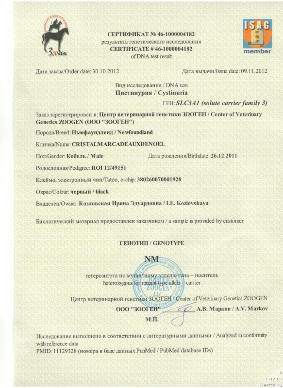 Фотография № 201596