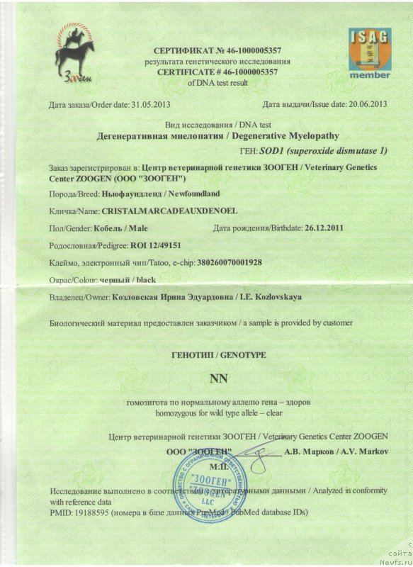 Фотография № 201597