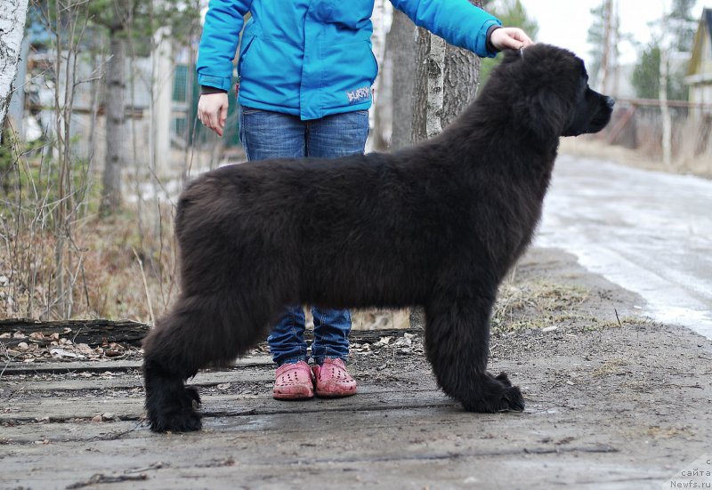 Фотография № 201610