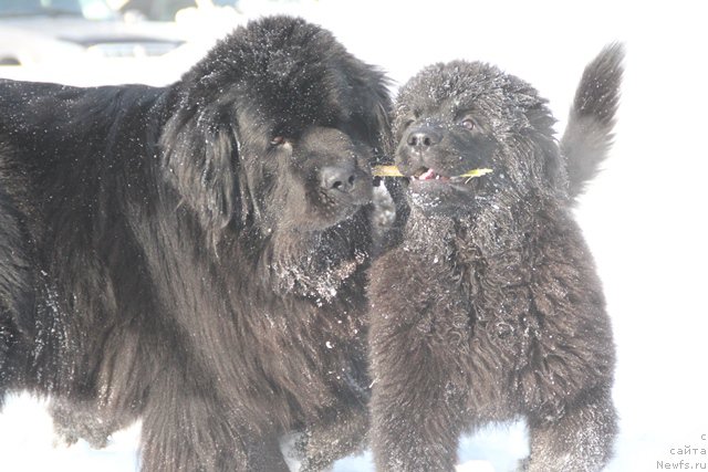 Фотография № 201614