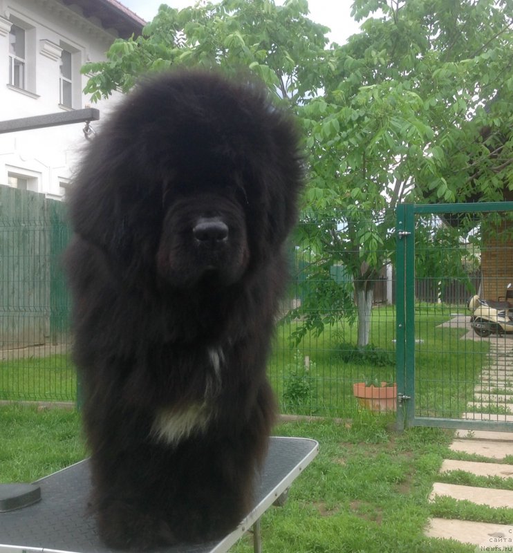 Фотография № 201624