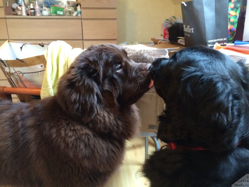 Фотография № 201651