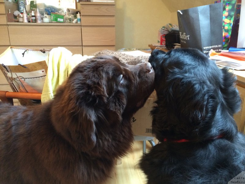 Фотография № 201653