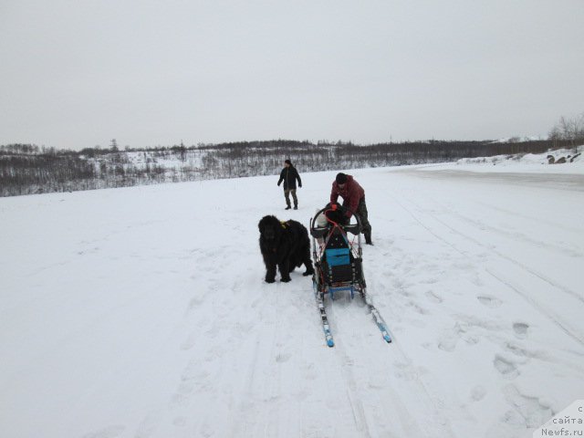 Фото: Шторм и Шерри