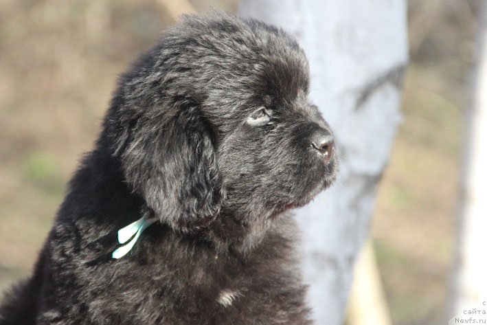 Фотография № 201686