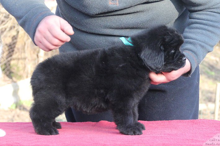 Фотография № 201688