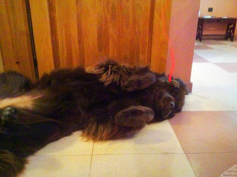 Фотография № 201725