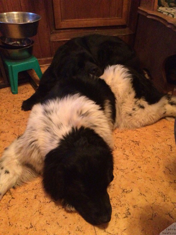 Фотография № 201744