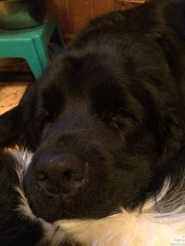 Фотография № 201745