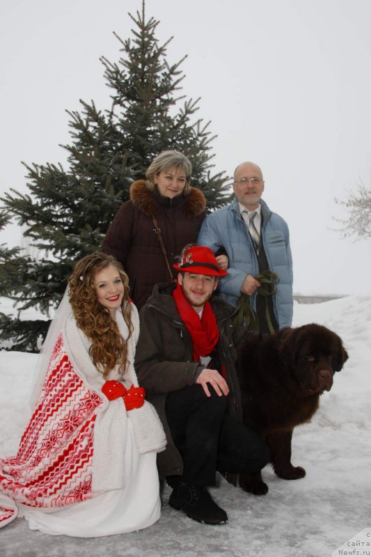Фото: Elena Gavrilenko (Елена Гавриленко), семья, и, ньюфаундленд Vereskovyj Mjod s Berega Dona (Вересковый Мёд с Берега Дона)