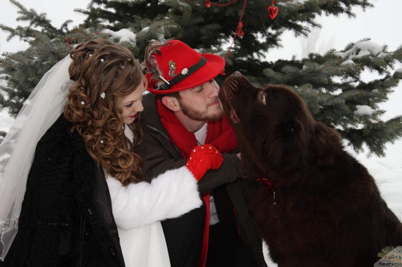 Фотография № 201816