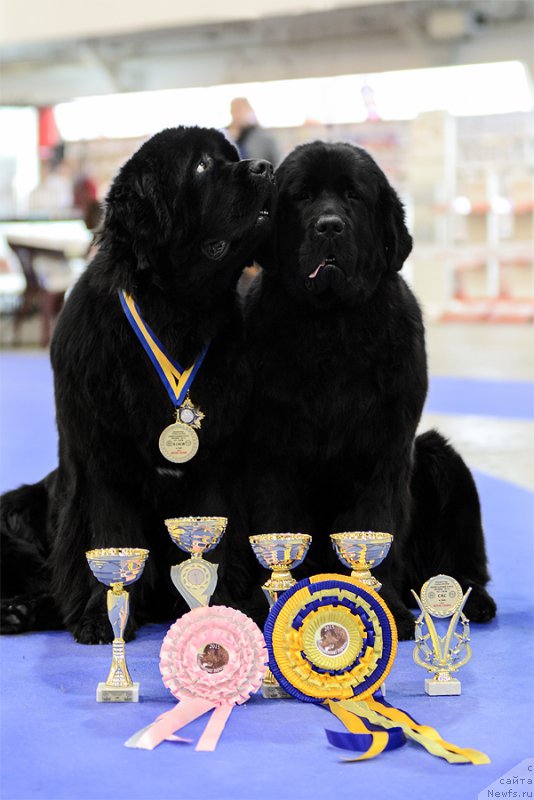 Фотография № 201819