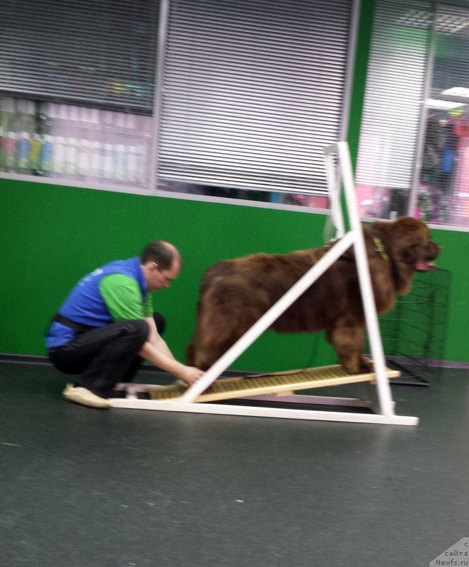 Фотография № 201833