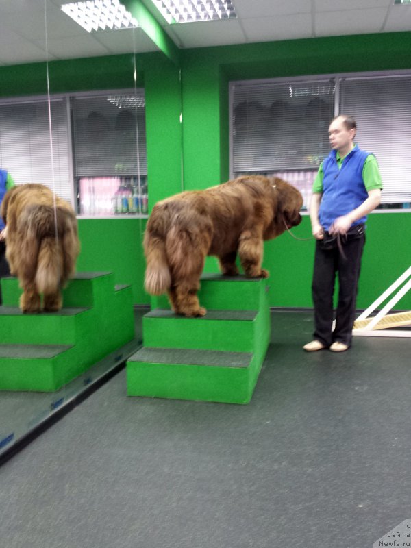 Фотография № 201835