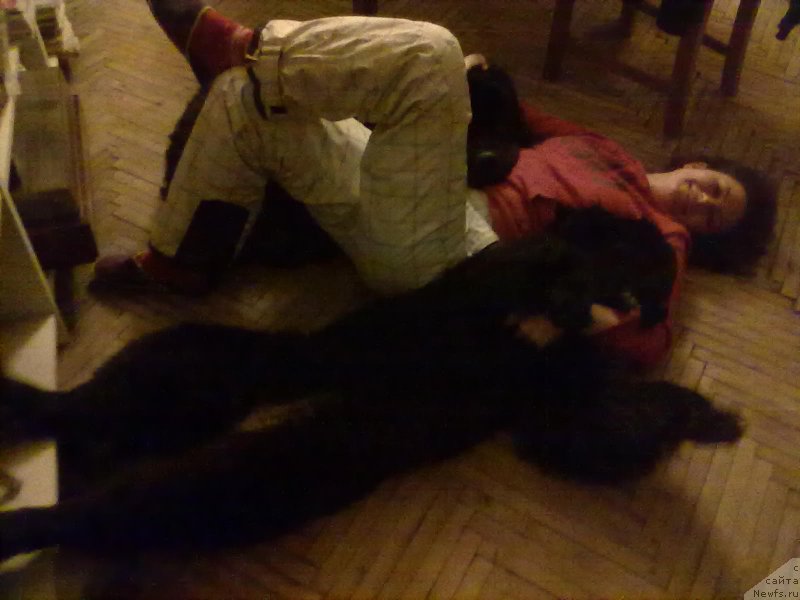 Фотография № 201836