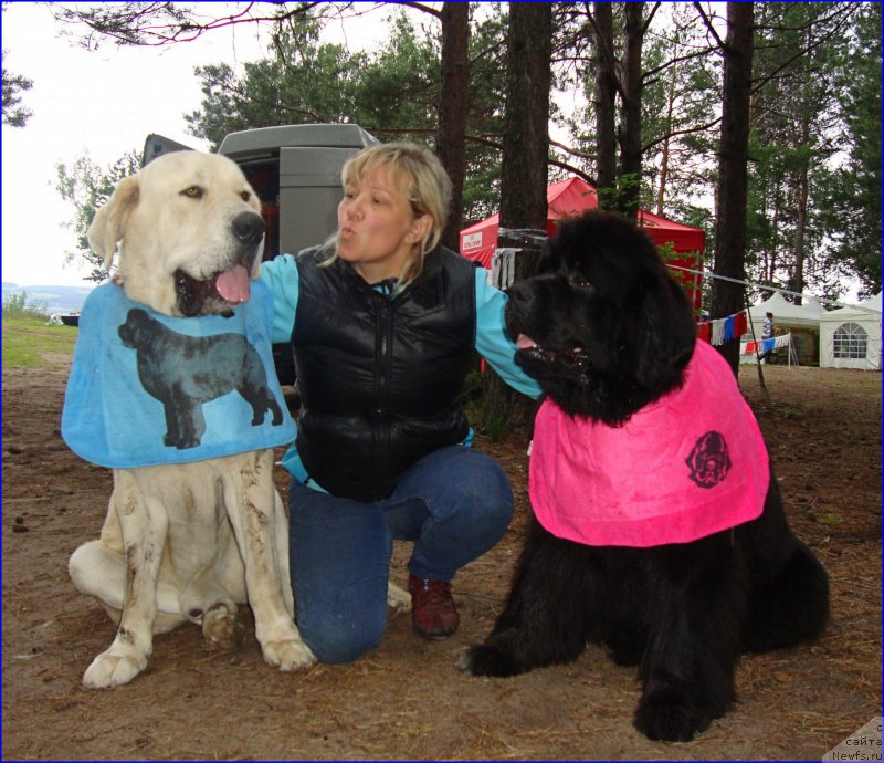Фото: Lena Zyirina (Лена Зырина), Lena Zyirina (Лена Зырина), ньюфаундленд N'yufort Taym's Gold Aleksa (Ньюфорт Тайм'с Голд Алекса)