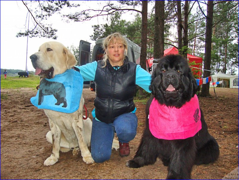 Фото: Lena Zyirina (Лена Зырина), Lena Zyirina (Лена Зырина), ньюфаундленд N'yufort Taym's Gold Aleksa (Ньюфорт Тайм'с Голд Алекса)