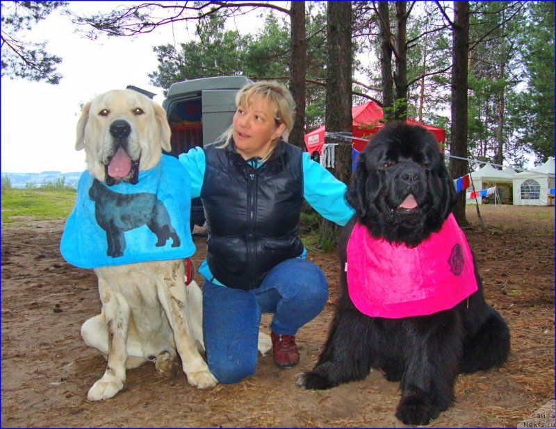 Фото: Lena Zyirina (Лена Зырина), Lena Zyirina (Лена Зырина), ньюфаундленд N'yufort Taym's Gold Aleksa (Ньюфорт Тайм'с Голд Алекса)