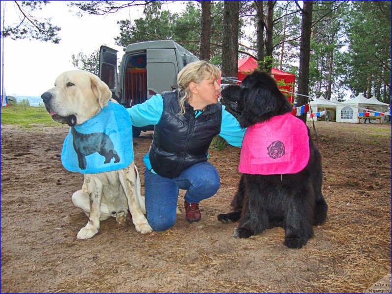 Фотография № 201868