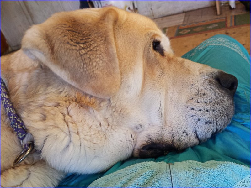 Фото: Lena Zyirina (Лена Зырина)