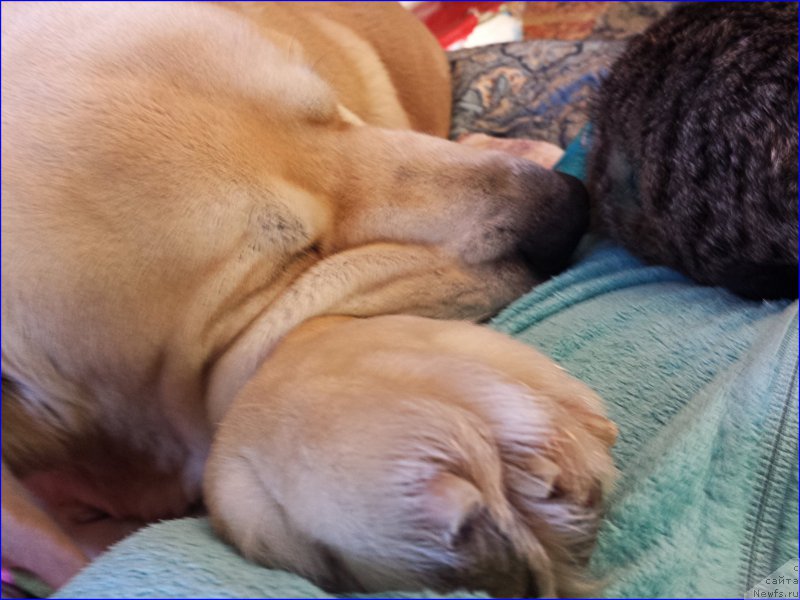 Фото: Lena Zyirina (Лена Зырина)