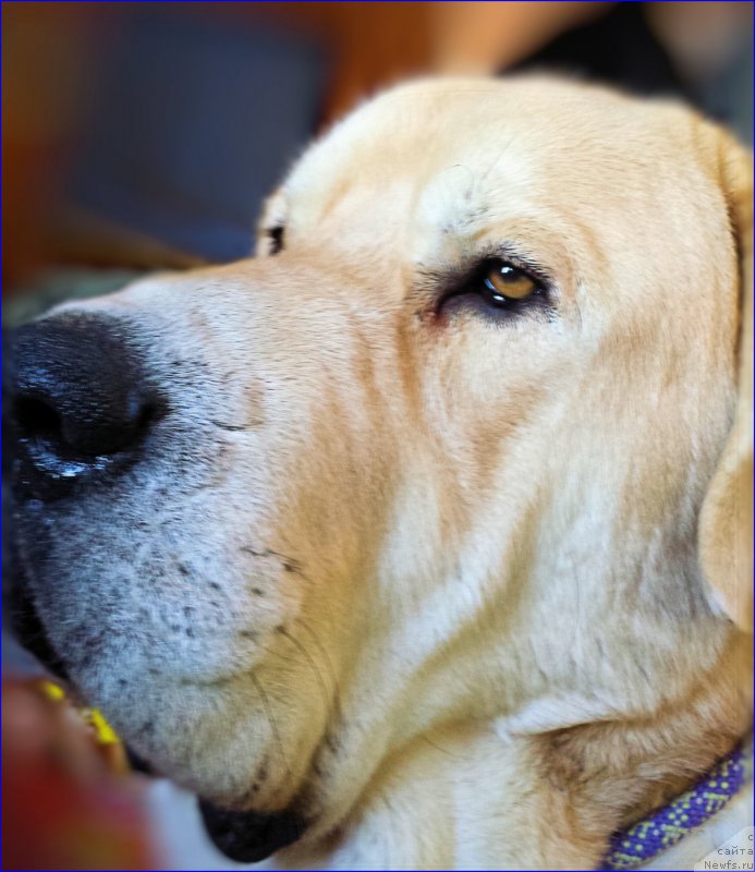 Фото: Lena Zyirina (Лена Зырина)