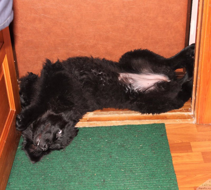 Фотография № 201905