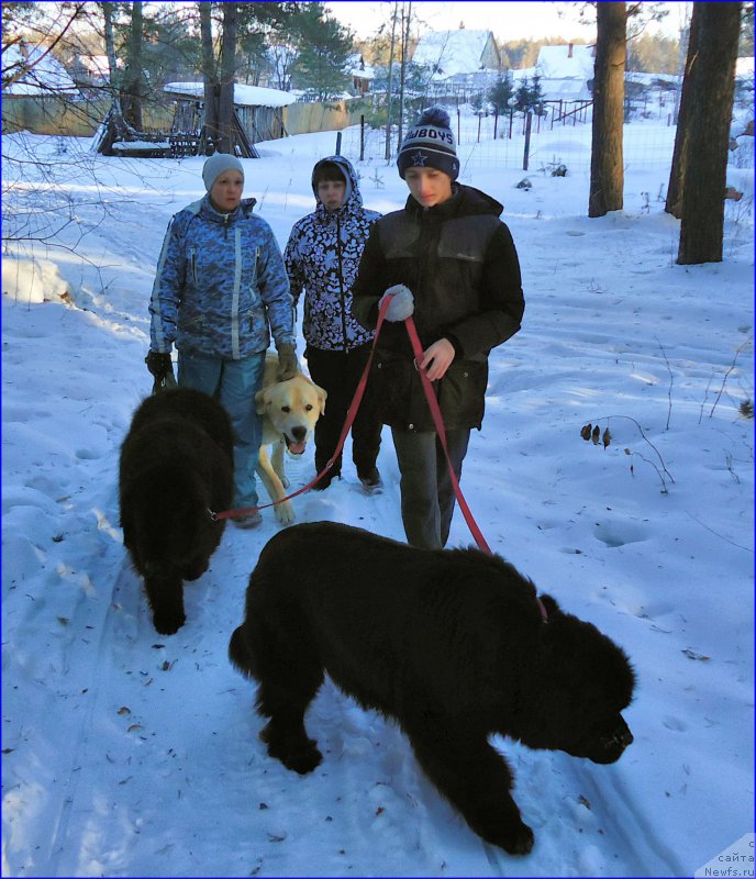 Фотография № 201908