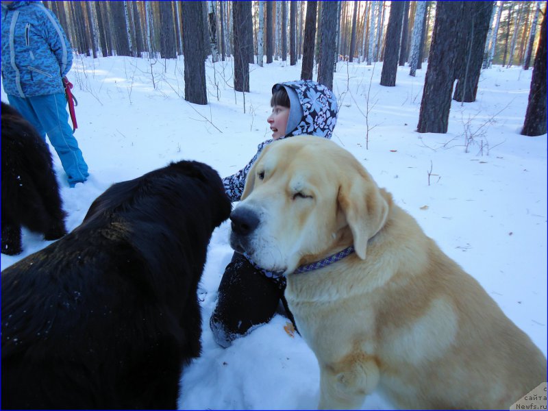 Фотография № 201910