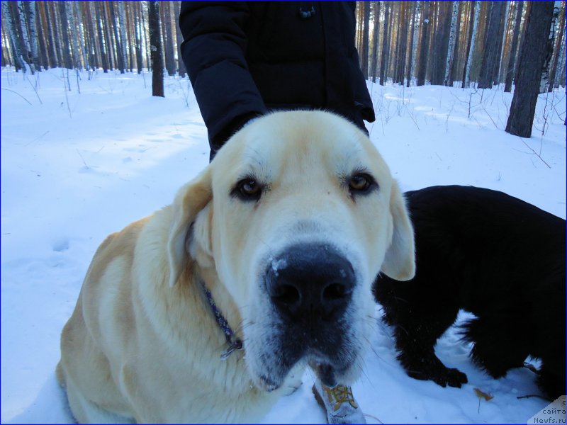 Фото: Lena Zyirina (Лена Зырина)