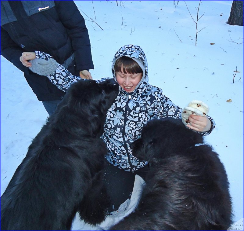 Фотография № 201912