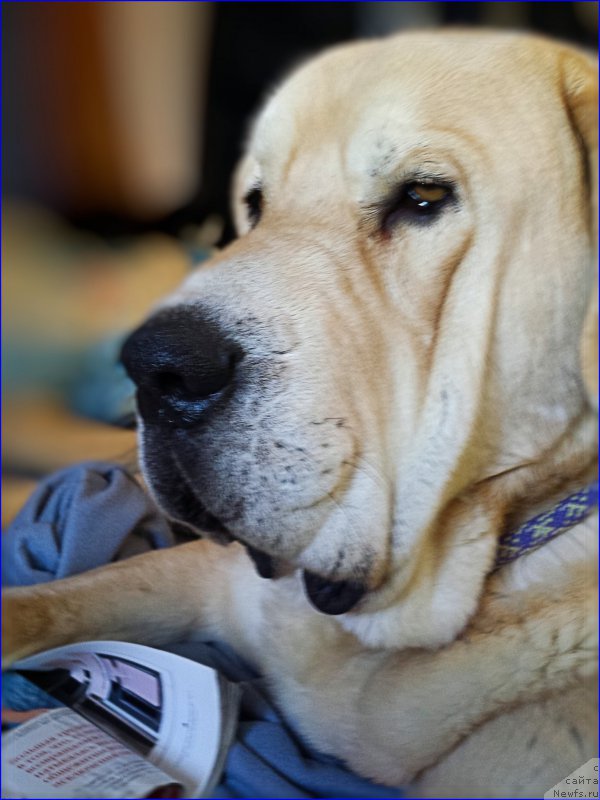 Фотография № 201916