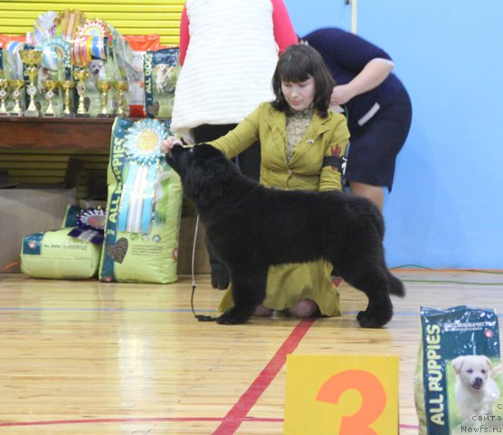 Фотография № 201952