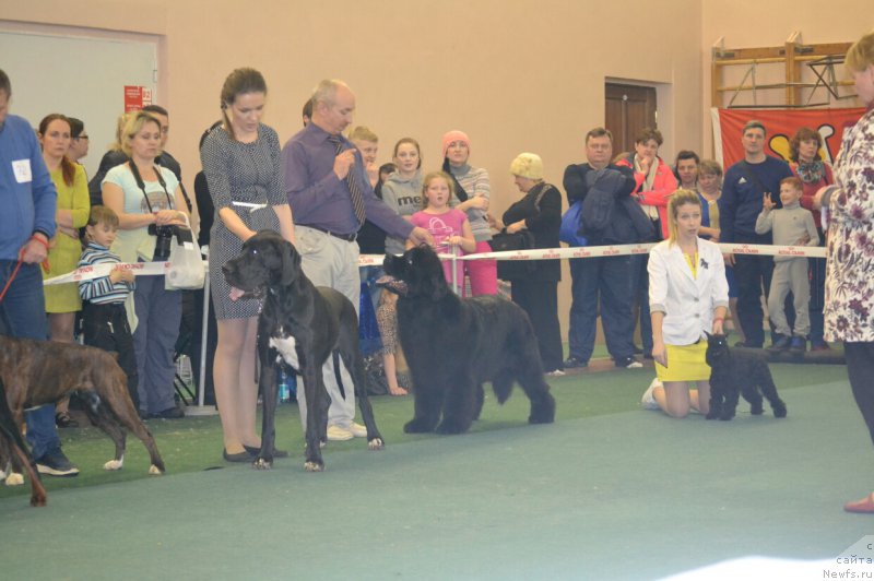 Фотография № 201992