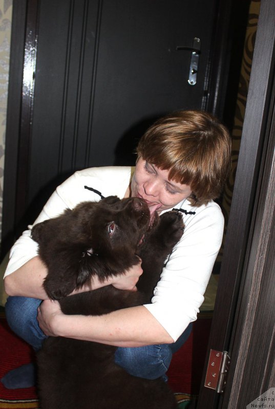 Фотография № 202019