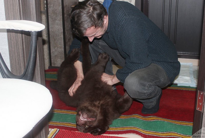 Фотография № 202020