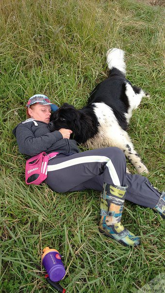 Фотография № 202031