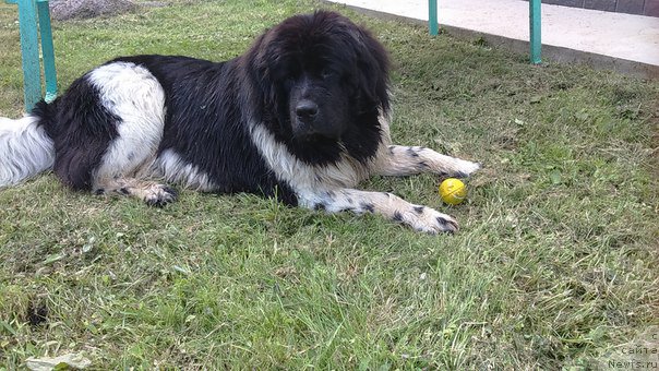 Фотография № 202032