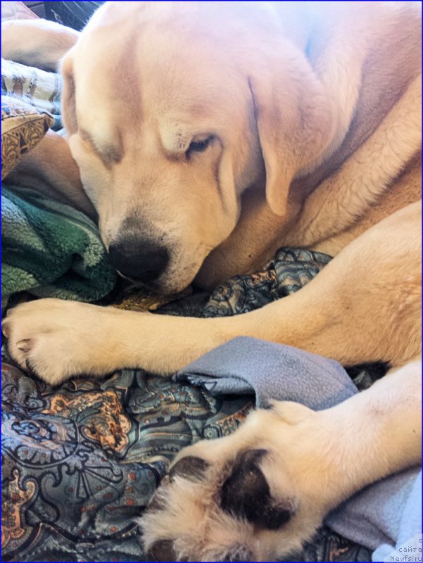 Фотография № 202042