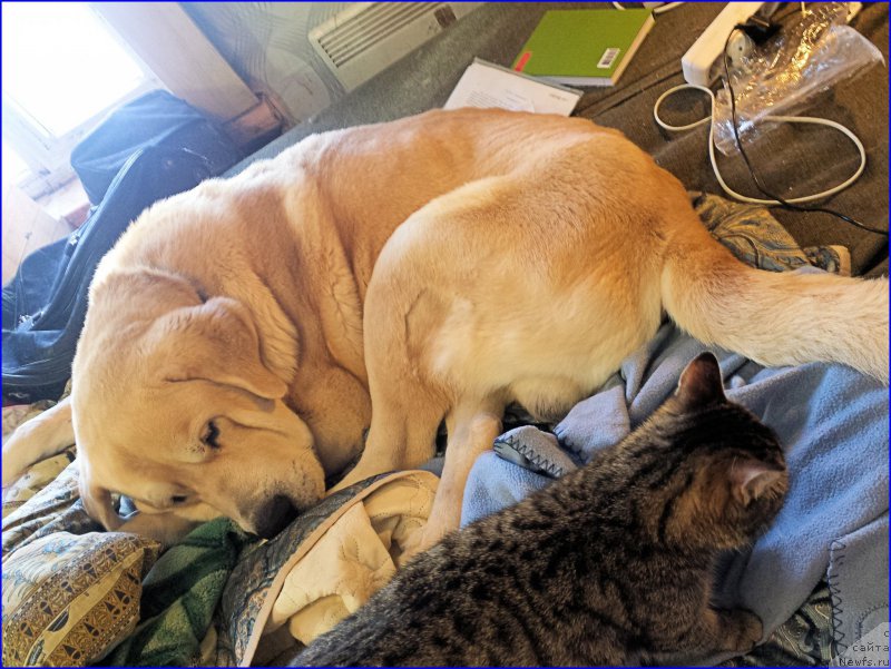 Фотография № 202043