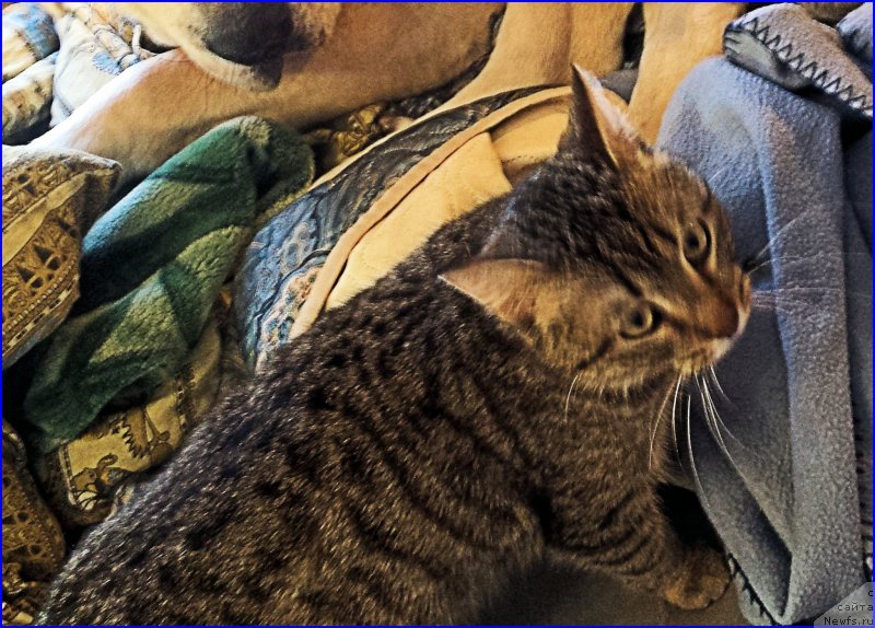 Фотография № 202048