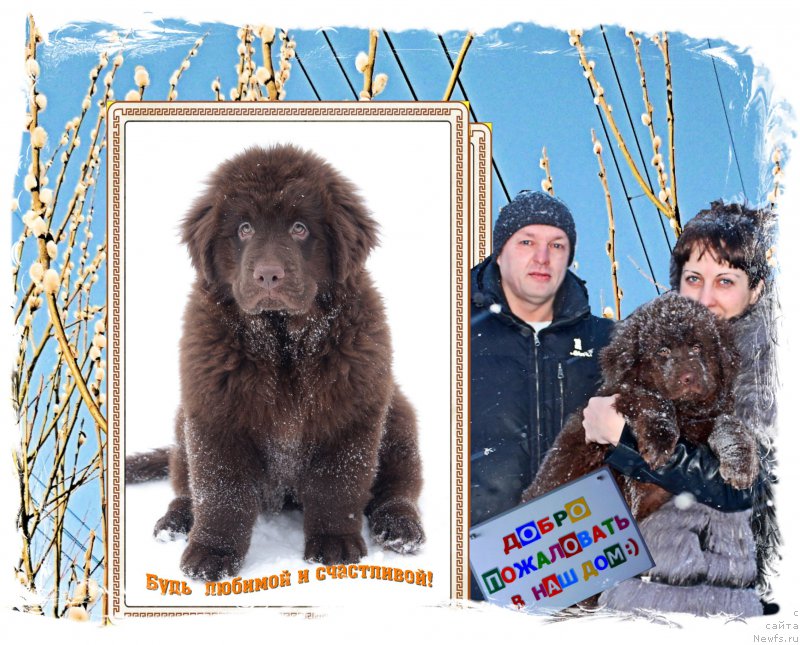 Фотография № 202070