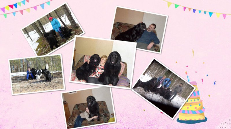 Фото: Elena Levchenko (Елена Левченко)